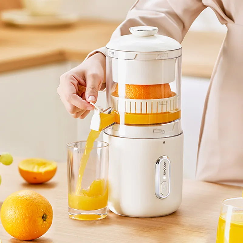 portable electric fruit juicer