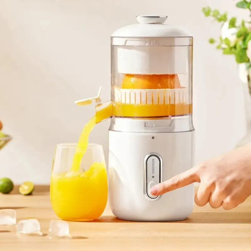 portable electric fruit juicer