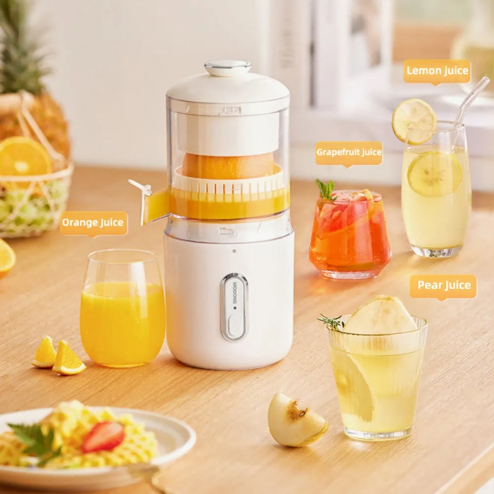 portable electric fruit juicer
